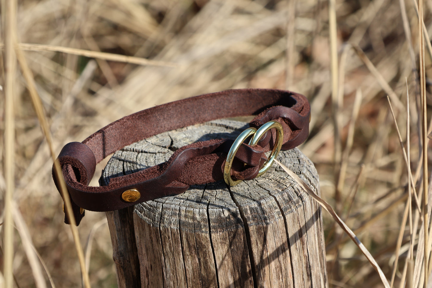 Hafenknoten Wachstumsgurt – Verstellbares Lederhalsband für Welpen und kleine Hunde